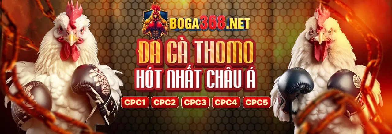 Các điều khoản chung và cập nhật tại bwin casino