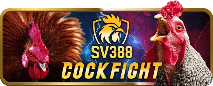 Khuyến Mãi Hoàn Trả Bwin Casino